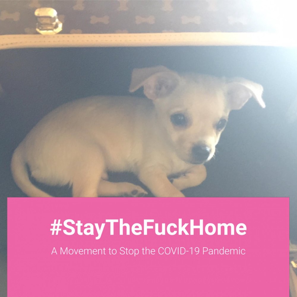 Meet your Posher, Kylo